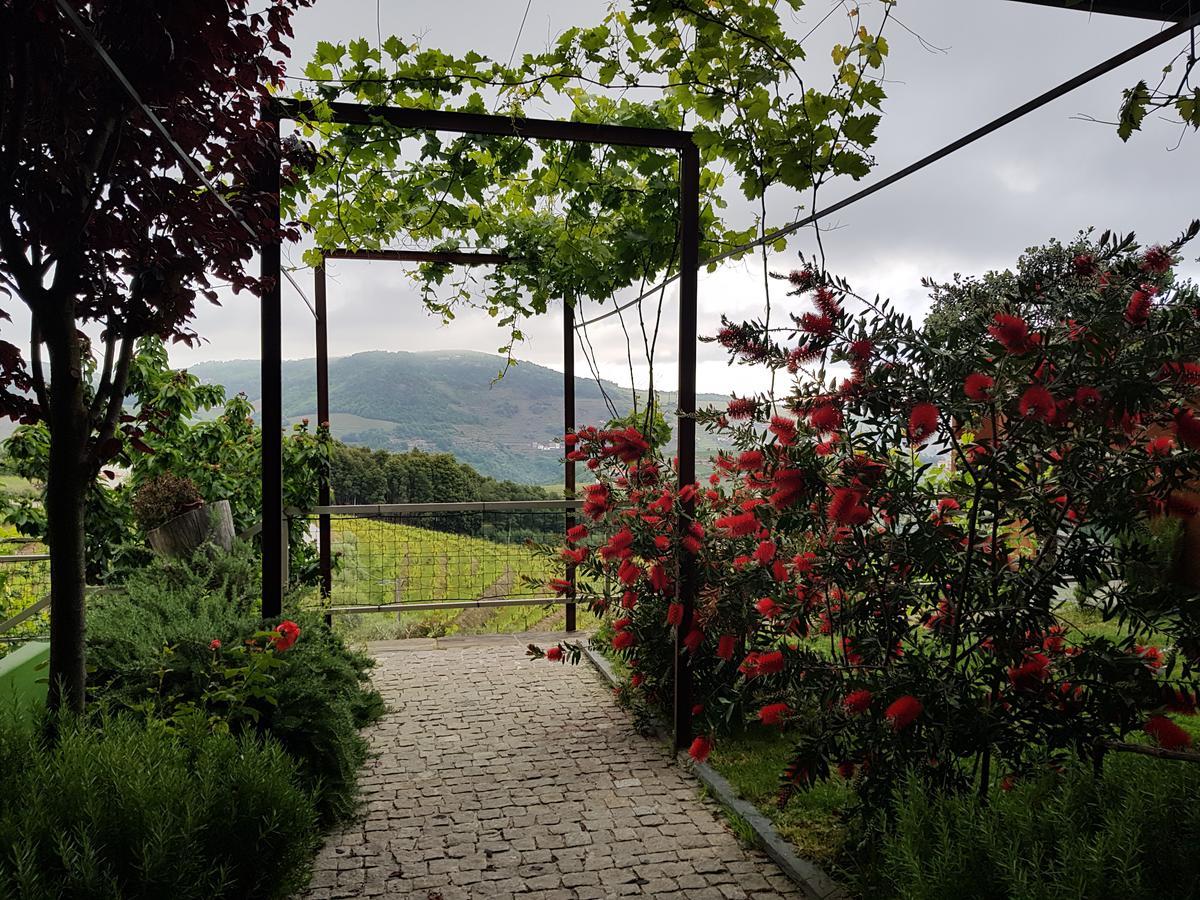 Vila Marim Country Houses Mesão Frio Εξωτερικό φωτογραφία